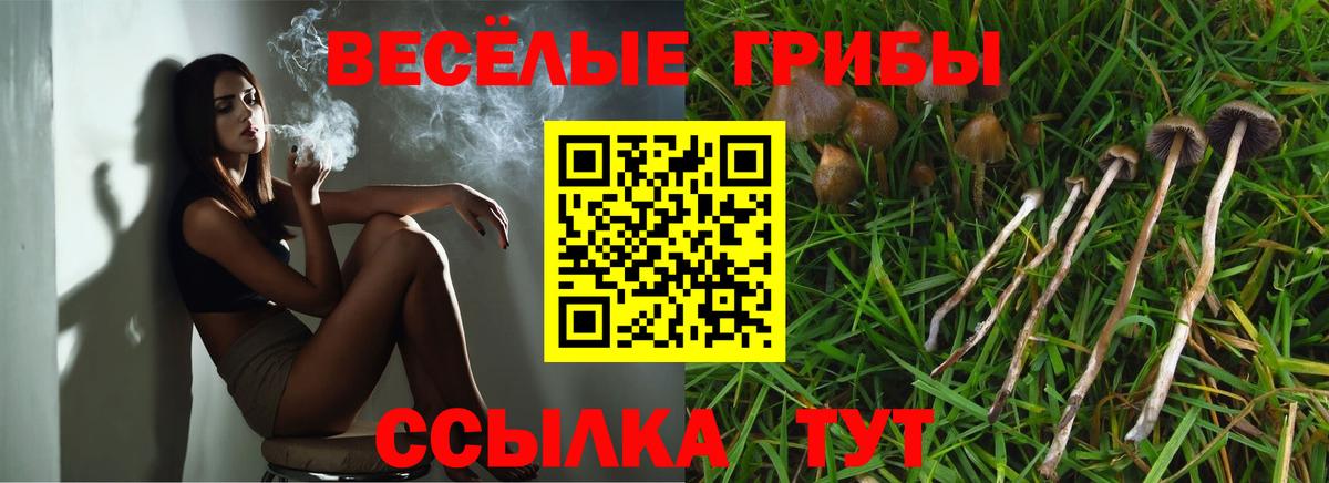 что такое наркотик  Вход с VPN  Ангарск  Галлюциногенные грибы прущие грибы 